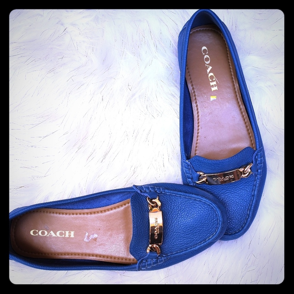 Coach loafers (blue)